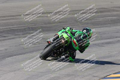 media/Feb-04-2024-SoCal Trackdays (Sun) [[91d6515b1d]]/4-Bowl Backside (11am)/